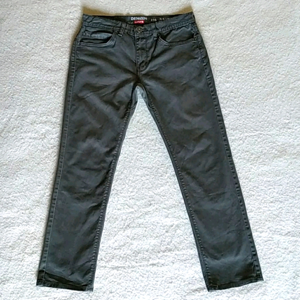 Gray Denizen from Levi's Men's 216 Slim Fit Jeans